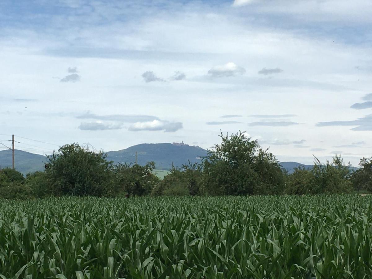 Gite D'Alsace L'Escale Ostheim Eksteriør billede