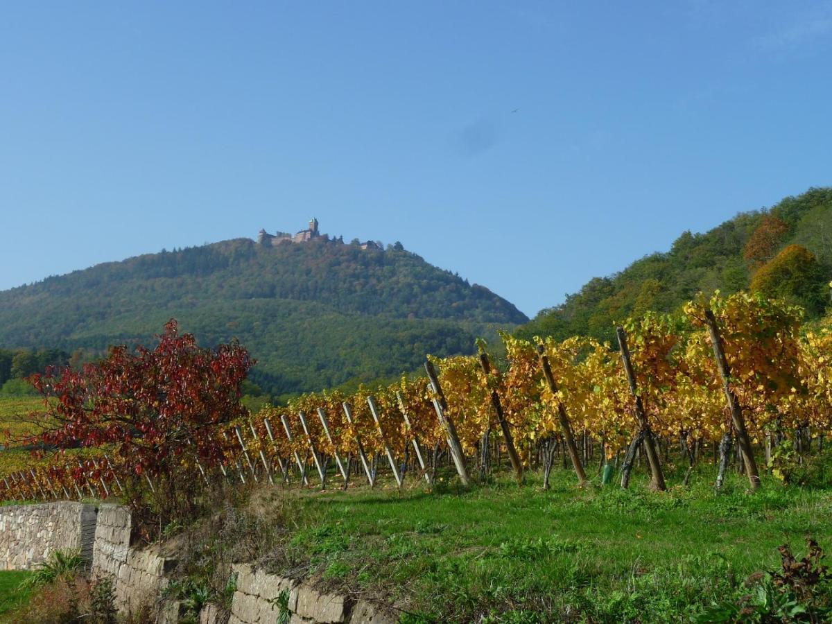 Gite D'Alsace L'Escale Ostheim Eksteriør billede